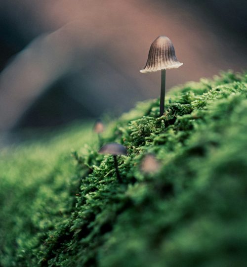 Dogukan Benli K07EgGK8f0g Unsplash Scaled Rkoep0u189igyfxryavgxwlkb3jqa2cs2olc5ynq54