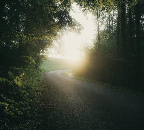 Janosch Diggelmann 6huT8gNJr A Unsplash Scaled Rkqa8b7ks7qyx8qz19tj6hdeuxfkwgmd0aziyzw0pg