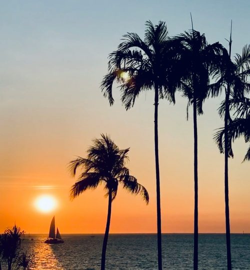 michelle van der hoek 0 qxupvf2h8 unsplash
